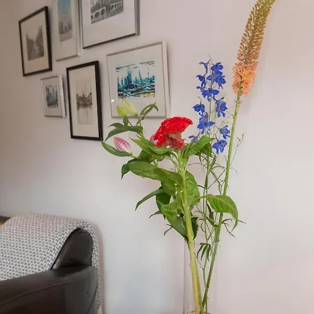 Bed & Breakfast Het Suikerpandje