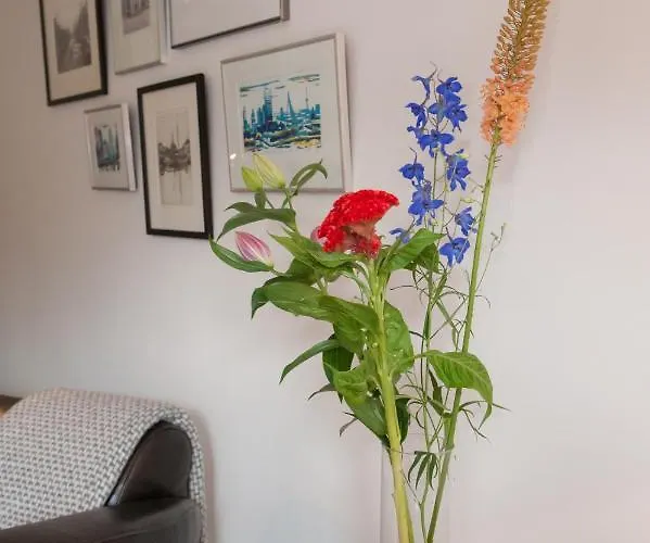 Maison d'hôtes Het Suikerpandje