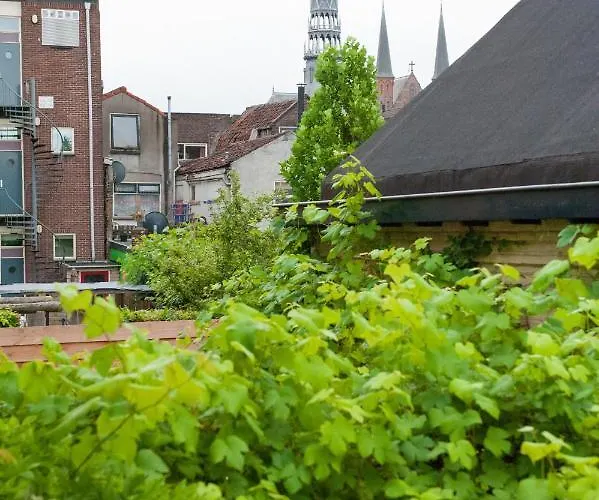 Het Suikerpandje Maison d'hôtes Gouda