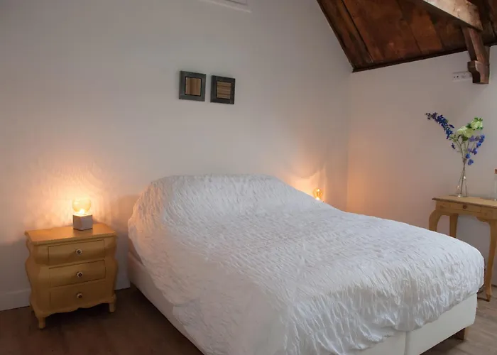 Guest house Het Suikerpandje Gouda